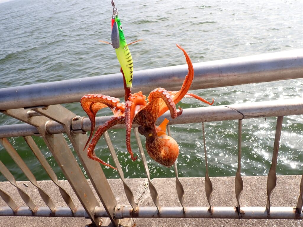 新品★送料無料　8分★タコジグ★タコ掛け◆50個セット★真蛸　タコ釣り マダコ タコ掛のりのり L-50 50号 船たこ釣り 蛸テンヤ YAMASHITA ヤマシタ