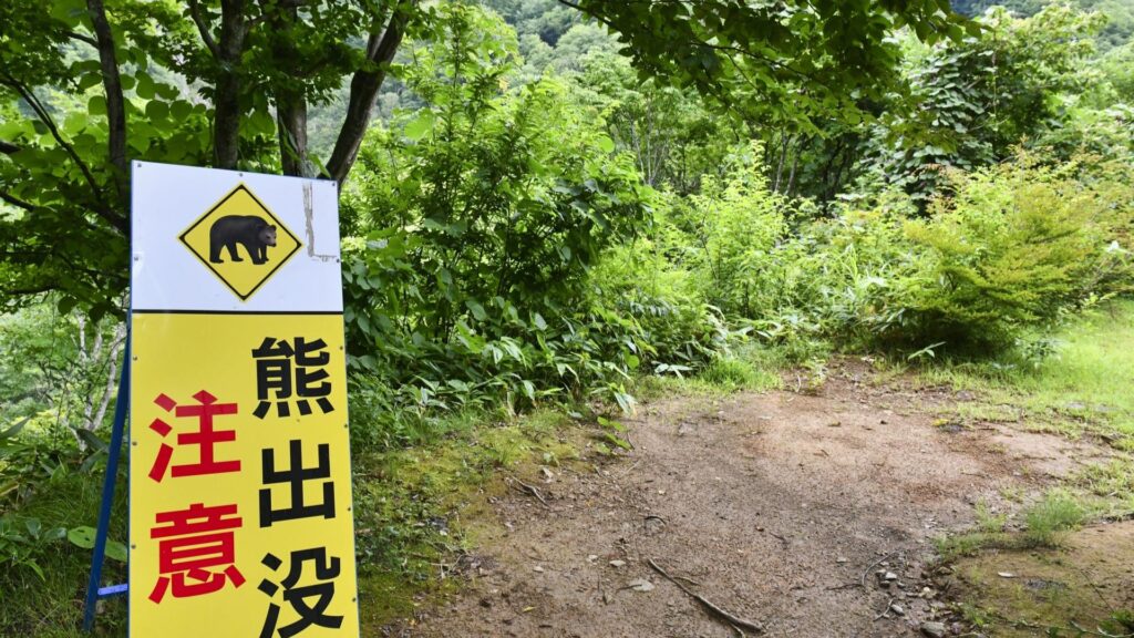 釣り場に熊が出るかもしれない...怖くて行けなくなった渓流釣りと管理釣り場