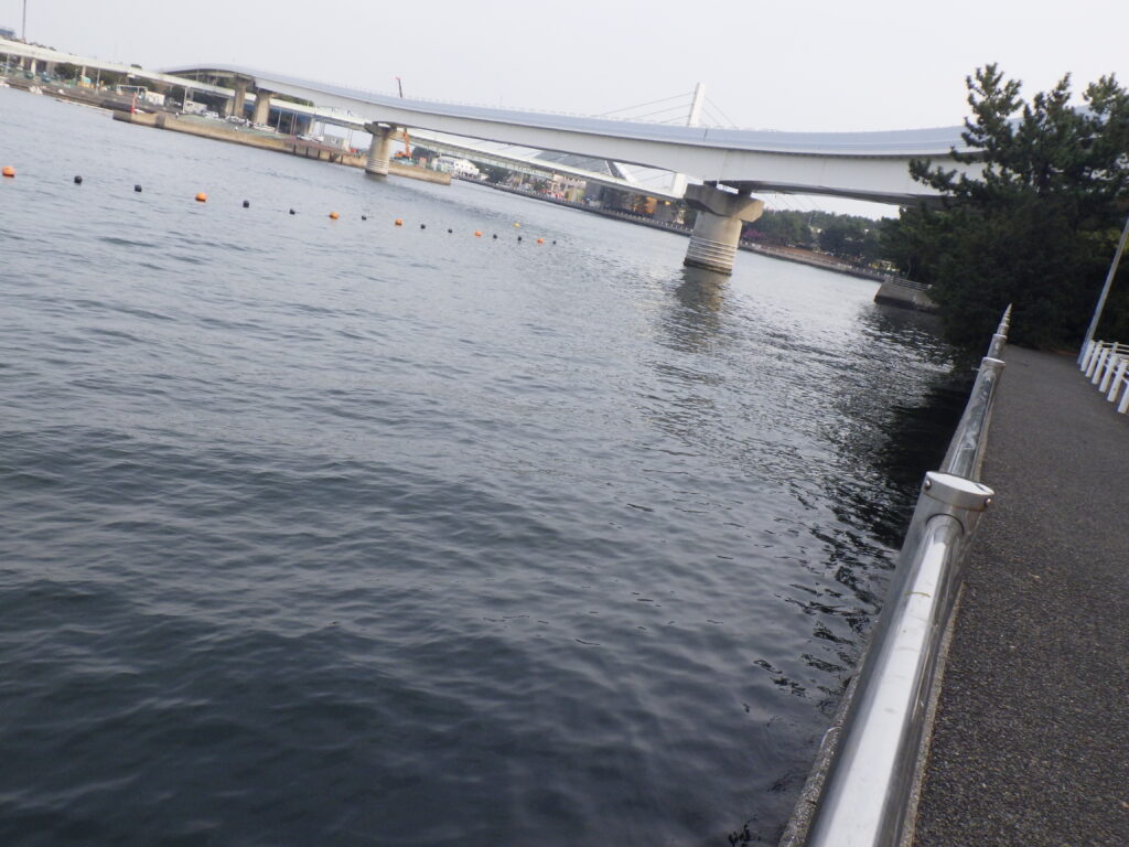 「どこで釣れてるの？」釣り人が絶対に教えてくれないポイントが知れる超裏技！